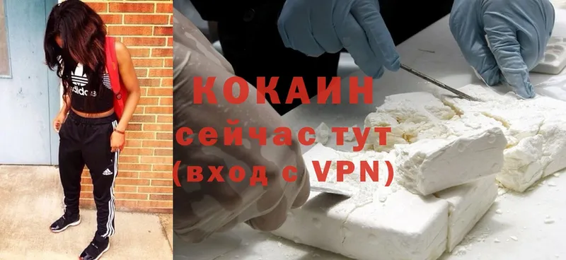 Cocaine Эквадор  shop клад  Ак-Довурак  купить  цена 